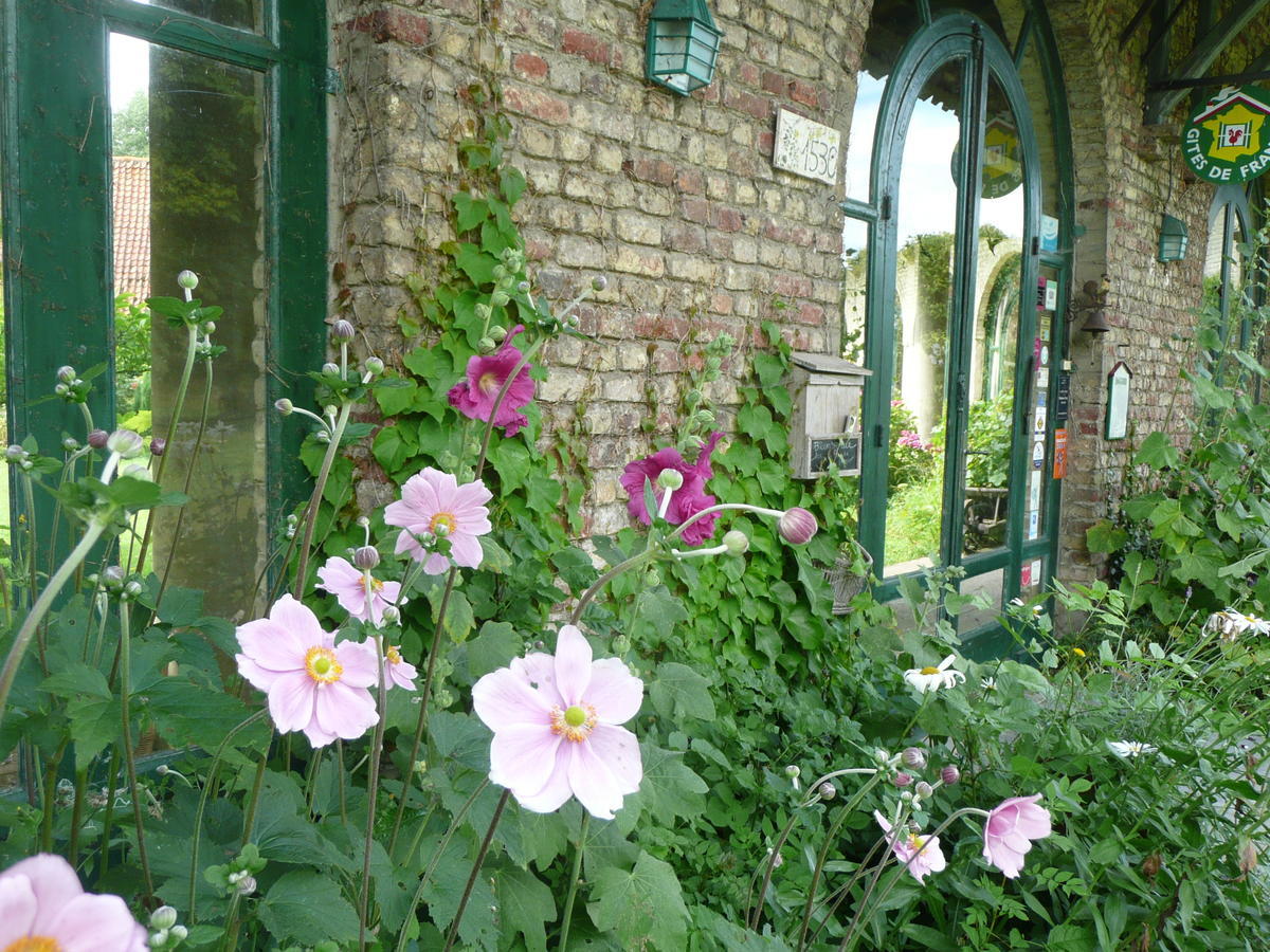 Manoir De Bois En Ardres Exterior foto