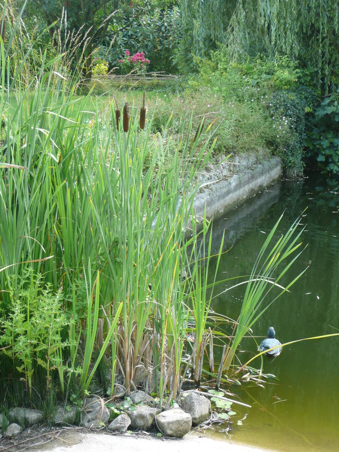 Manoir De Bois En Ardres Exterior foto